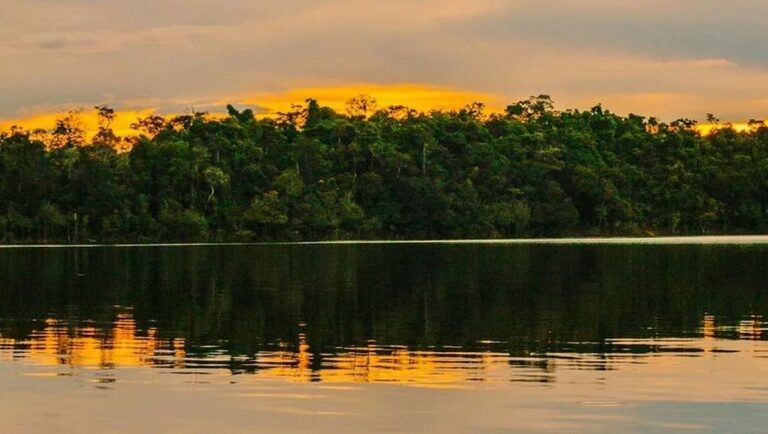 Conheça o Complexo de Conservação da Amazônia Central, o maior território protegido da Bacia Amazônica