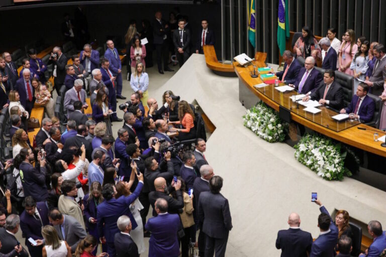 Estudo analisa nova legislatura da Câmara dos Deputados e Congresso Nacional sob a questão ambiental