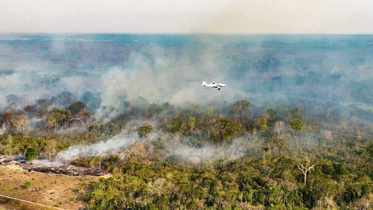Justiça Federal dá dez dias para União, Amazonas e Pará explicarem ações de combate a incêndios na região